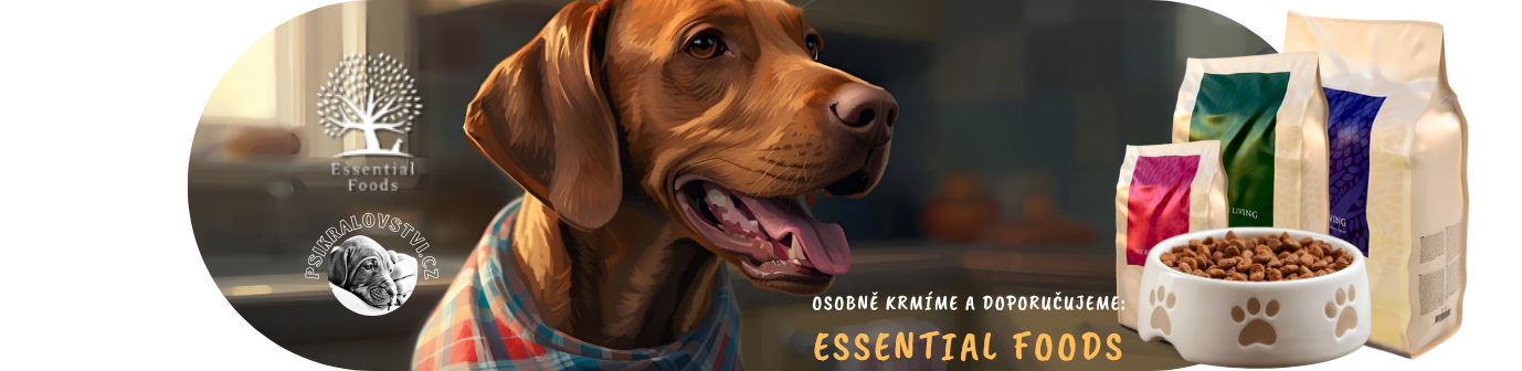 essential-dlouhy-banner