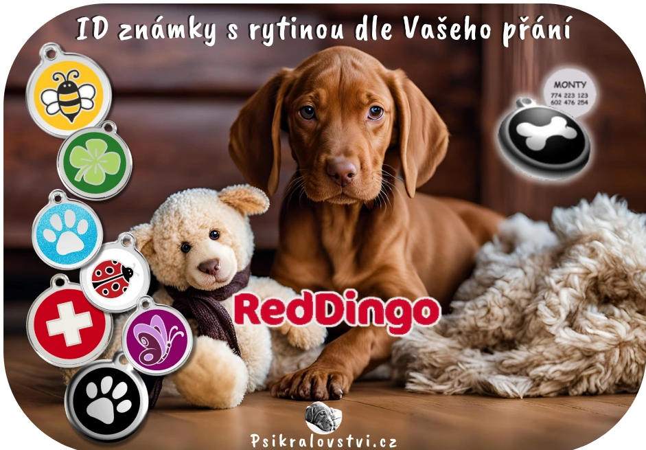 red-dingo-znamky-id-s-rytinou-pro-psa-na-obojek-ryti-psikralovstvi